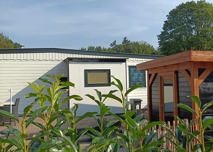 Veluwe Bij Bos, Alleen Voor Recreatie *